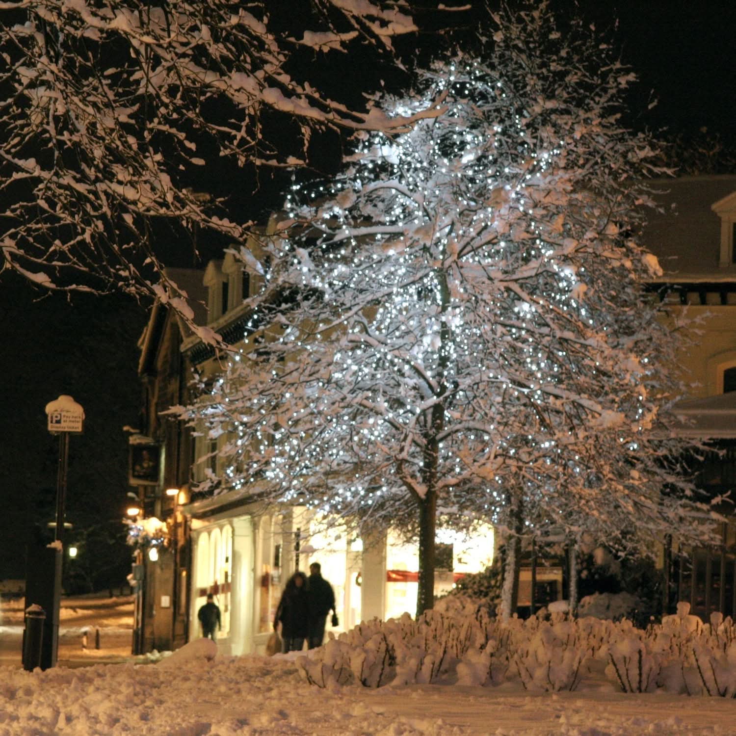 200 Luzes de Natal LED Brancas - Imagem 4