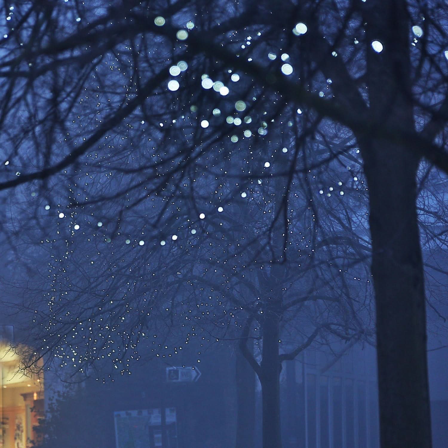 100 Luzes de Natal LED Brancas - Imagem 3