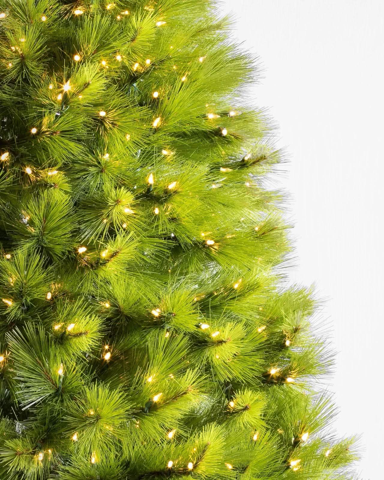 Árvore de Natal Verde Monterey Pine com Galhos Longos, Suporte Metálico e Micro LEDs Embutidos - Imagem 2