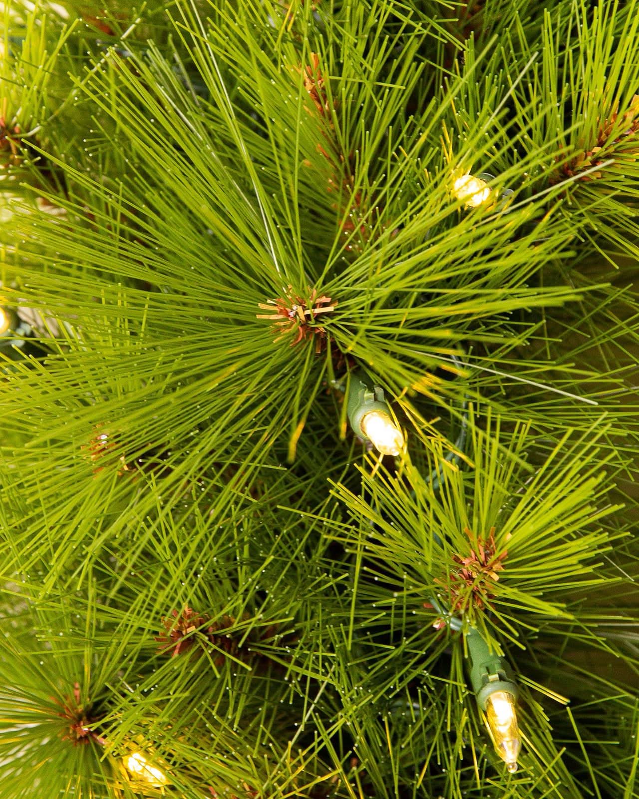 Árvore de Natal Verde Monterey Pine com Galhos Longos, Suporte Metálico e Micro LEDs Coloridos Embutidos - Imagem 3