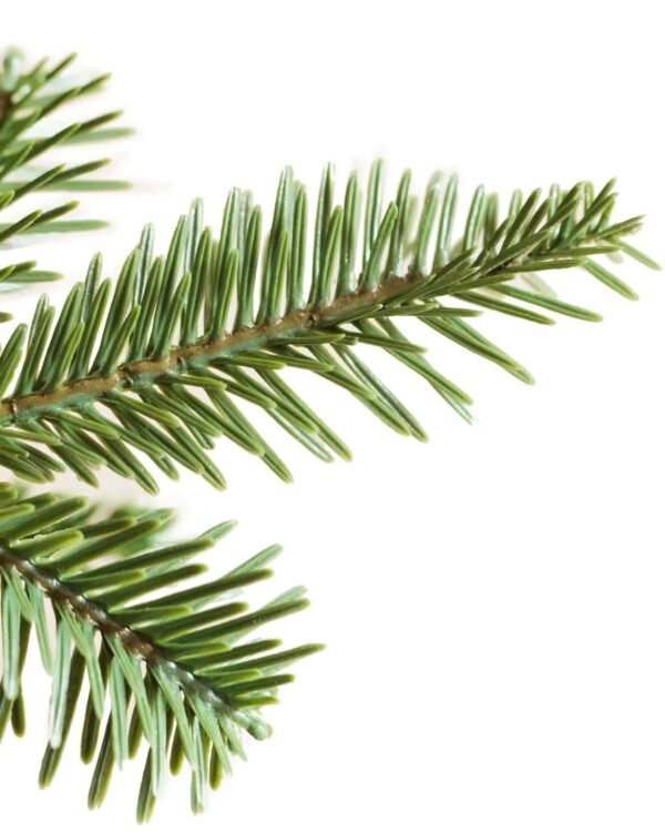 Árvore de Natal Slim Alpine com Galhos Articulados, Suporte Metálico e Micro LEDs Embutidos - Imagem 4