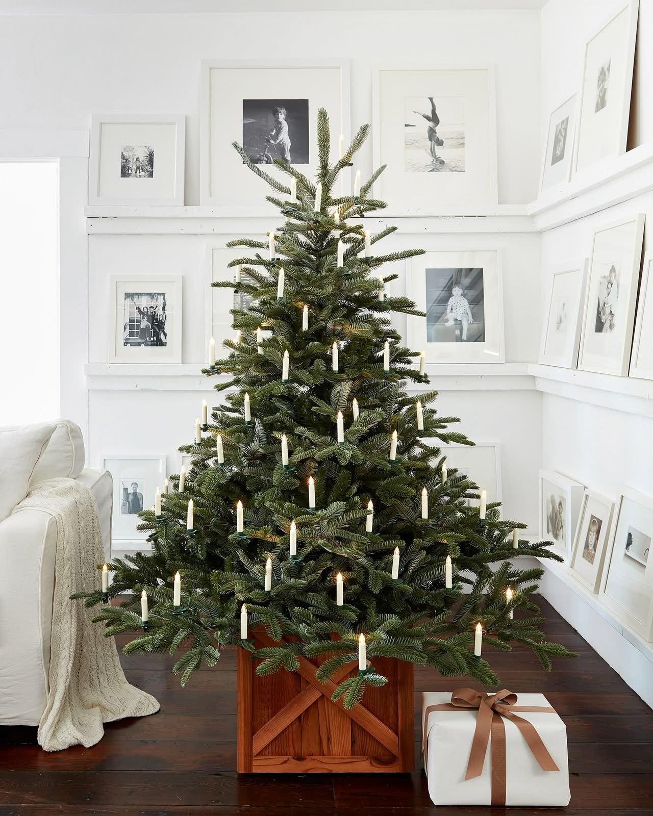 Árvore de Natal European Fir com Galhos Articulados, Suporte Metálico e Micro LEDs Embutidos - Imagem 7