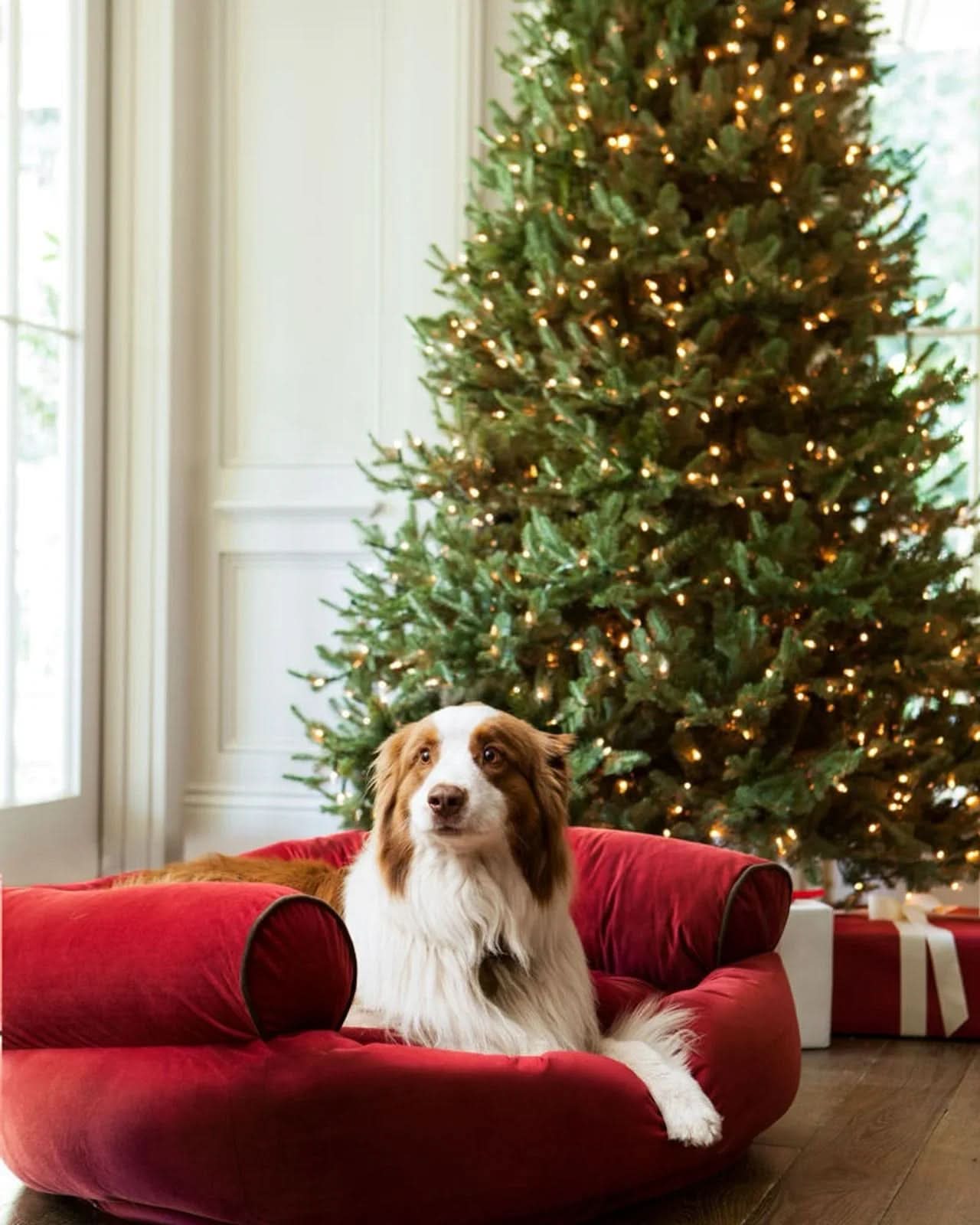 Árvore de Natal White Spruce Verde com Galhos Articulados, Suporte Metálico e Micro LEDs Embutidos - Imagem 6