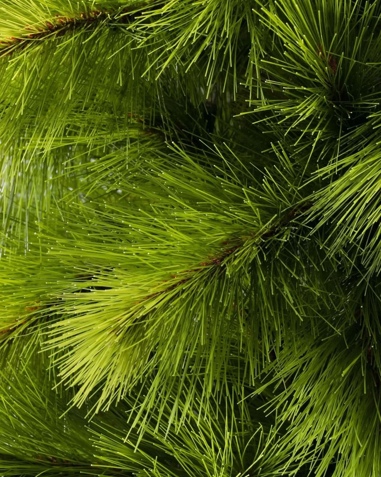 Árvore de Natal Monterey Pine Slim com Galhos Articulados, Suporte Metálico e Micro LEDs Embutidos - Imagem 3