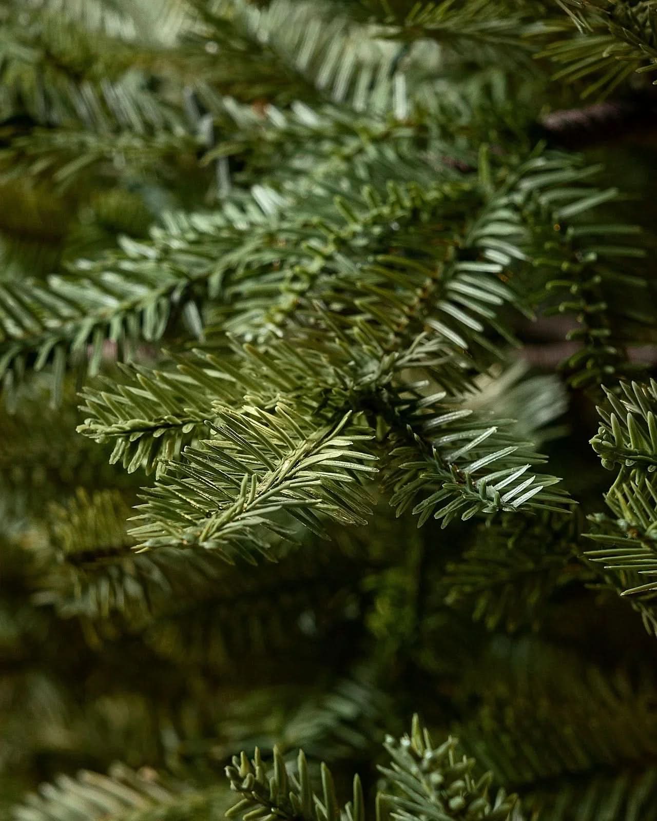 Árvore de Natal Verde Premium com Galhos Articulados, Suporte Metálico e Micro LEDs Embutidos - Imagem 4